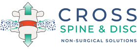 Chiropractic Sandy Springs GA Cross Spine & Disc Logo